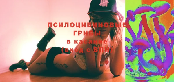 стаф Алексин