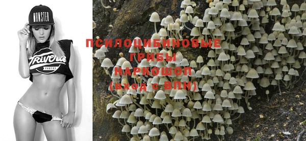 дживик Покачи