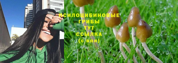 синтетический гашиш Абдулино