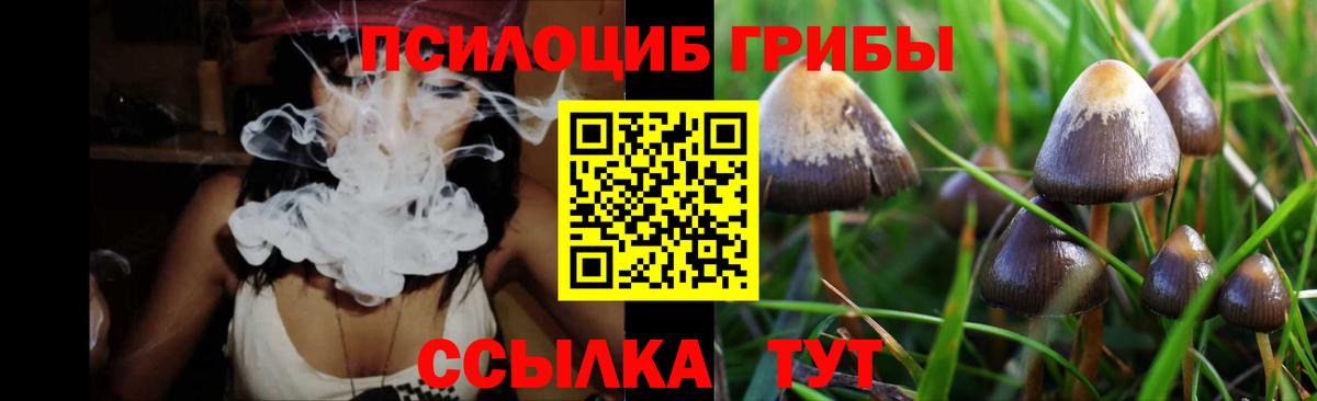 Псилоцибиновые грибы Cubensis Людиново